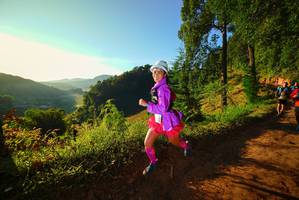 BIB: 
                            <button type="button" onclick="openModal(19169927)" class="btn btn-primary btn-sm float-right btn-popup" data-toggle="modal" data-target=".modal-high-quality">
                        <i class="fas fa-shopping-cart"></i> Add to Cart
                    </button>
                                            <button type="button" onclick="isThisMe(19169927, true)" class="btn btn-success btn-sm float-right btn-popup btn-isme hidden" data-toggle="tooltip" data-placement="bottom" title="นี่คือรูปของคุณใช่ไหม คลิกที่นี่เพื่อเอาเข้าอัลบั้ม">
                        <i class="fas fa-plus"></i> Add to album
                    </button>
                    <button type="button" onclick="isThisMe(19169927, false)" class="btn btn-warning btn-sm float-right btn-popup btn-isnotme hidden">
                        <i class="fas fa-ban"></i> Remove from album
                    </button>